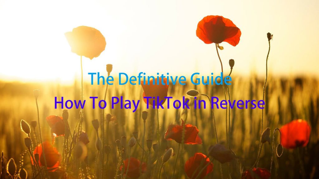 how to play tiktok in reverse
